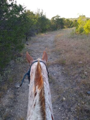 Horseback Riding by Branson